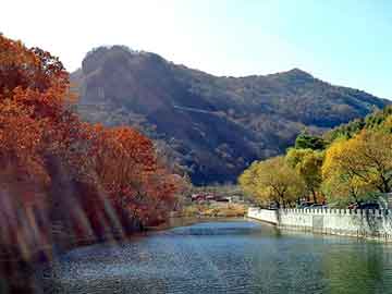 澳门二四六天天彩图库，物流对讲机